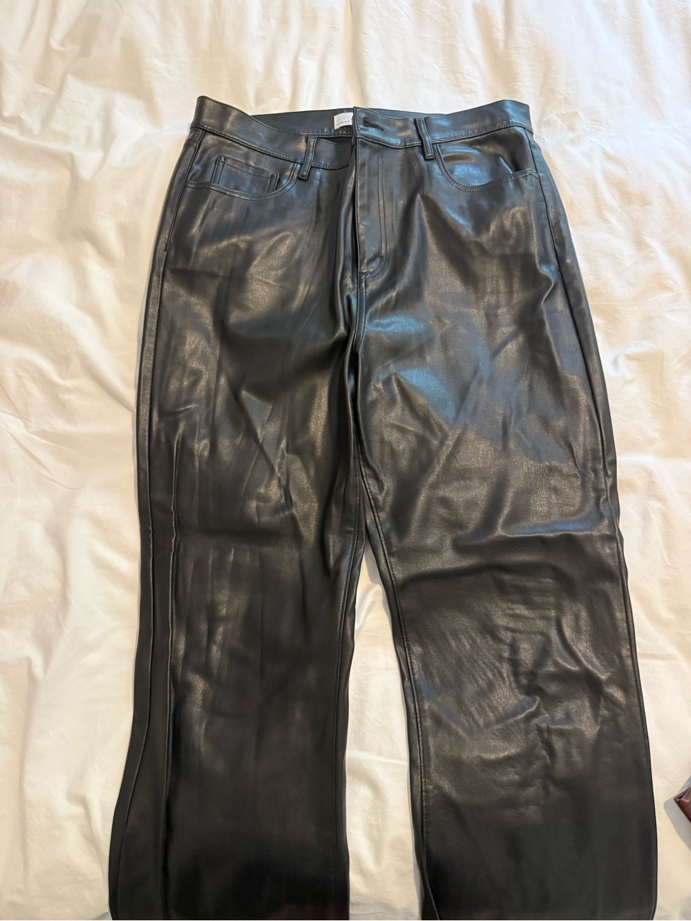 Loft Leather Pants